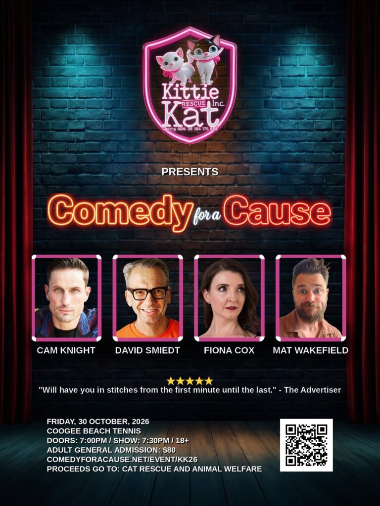 Comedy for a Cause poster - KK26