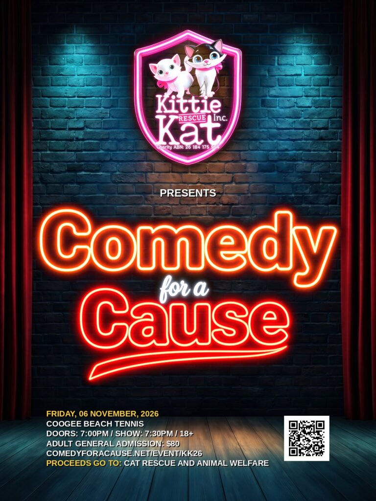 Comedy for a Cause poster - KK26